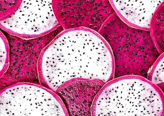 Pink dragon fruit