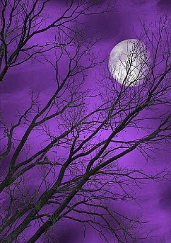 crepusculo