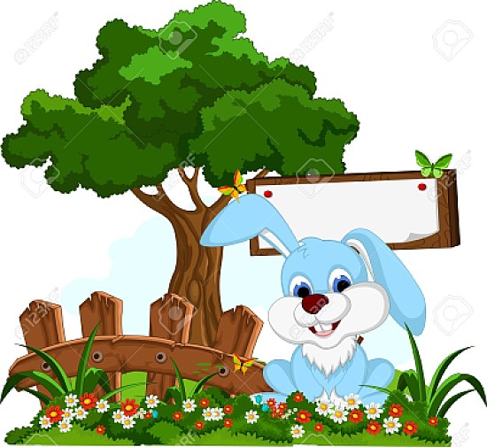 animales