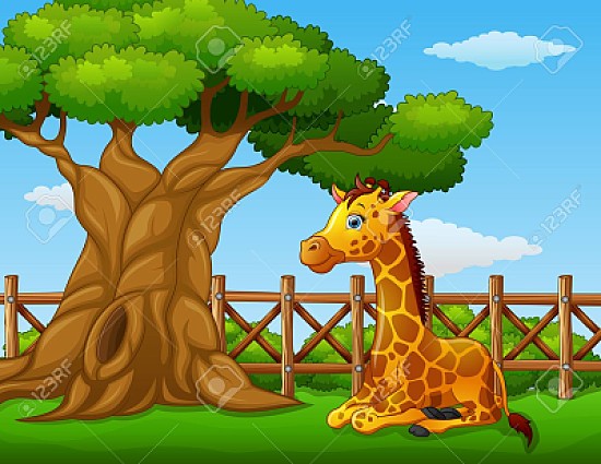animales