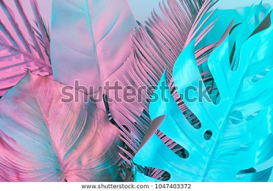 tropical palm leaves vibrant bold
