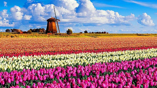 Holanda