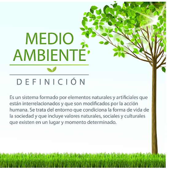 medio ambiente