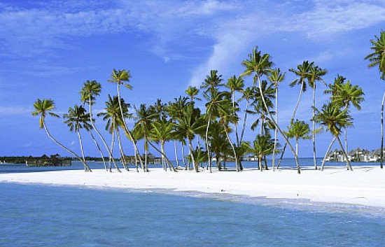 White beach
