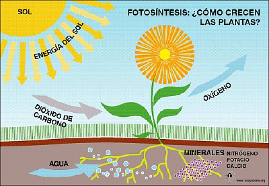 HÃ¡bitos saludables