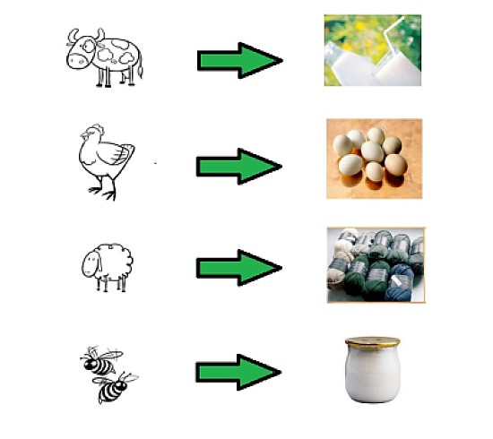 UTILIDAD DE LOS ANIMALES