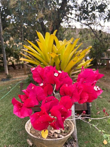 Fazenda Santa InÃªs