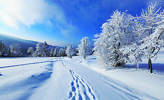 snow