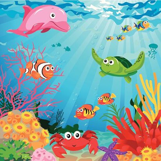 animales del mar