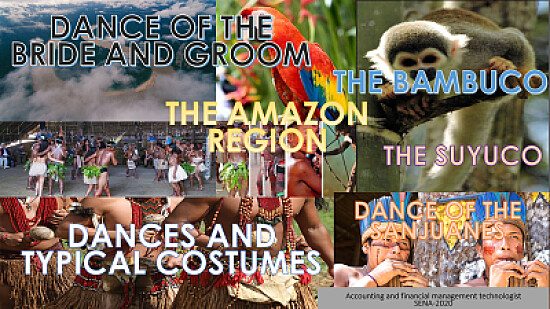 THE AMAZON REGION