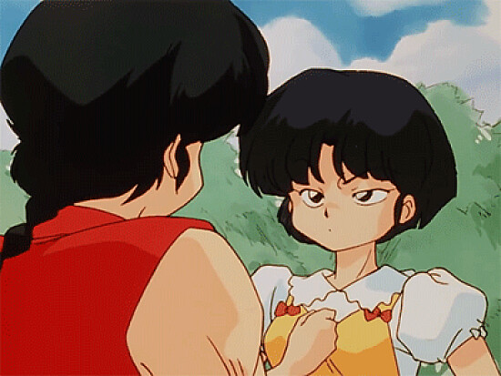ranma y akane ranma 1/2
