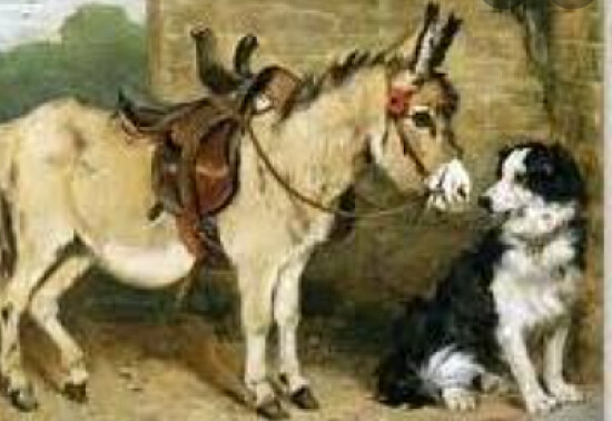 O cÃ£o e o burro