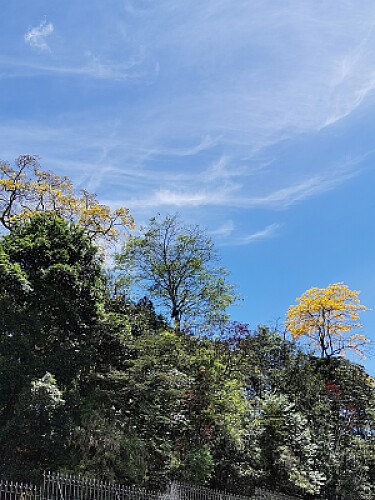 LOS COLORES DE MI TIERRA