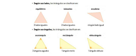 12 piezas