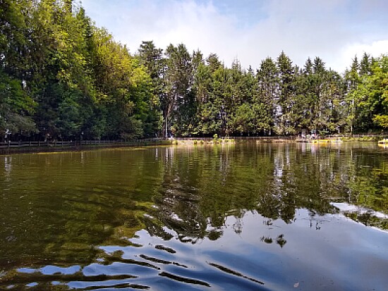 Lago