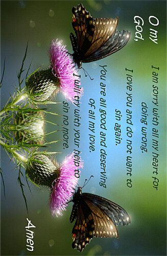 Act of Contrition