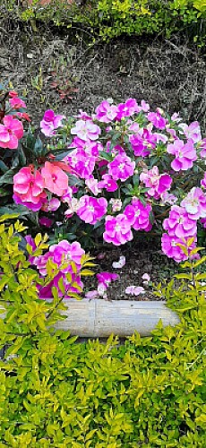 naturaleza