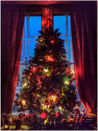 auguri buon natale