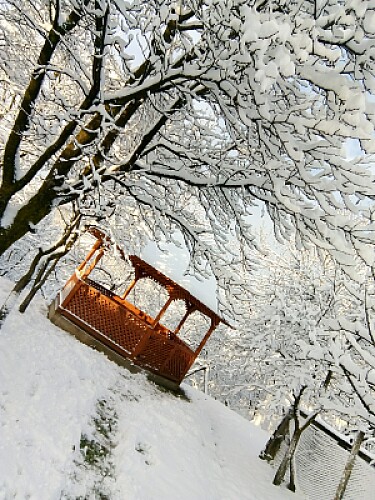 Iarna Ã®n grÄƒdina mea