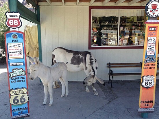 Oatman