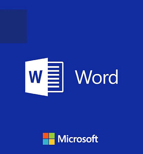Microsoft Word