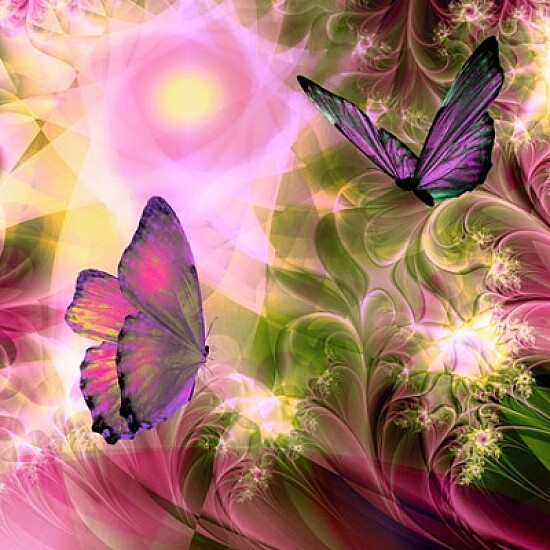 Languid Journeys