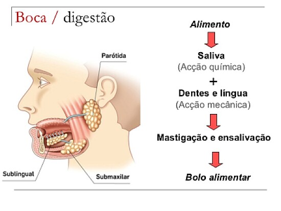 boca
