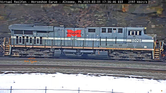 NS-8025  