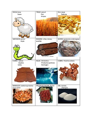 MATERIA PRIMAS