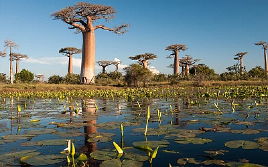 Madagascar