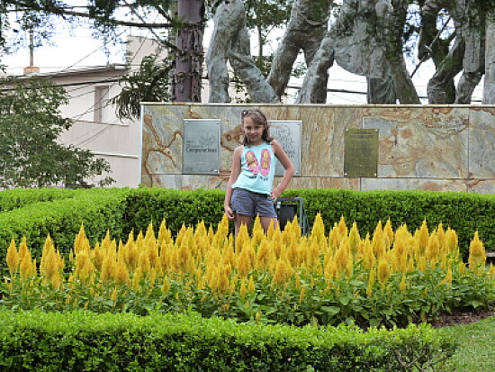 jardim colorido