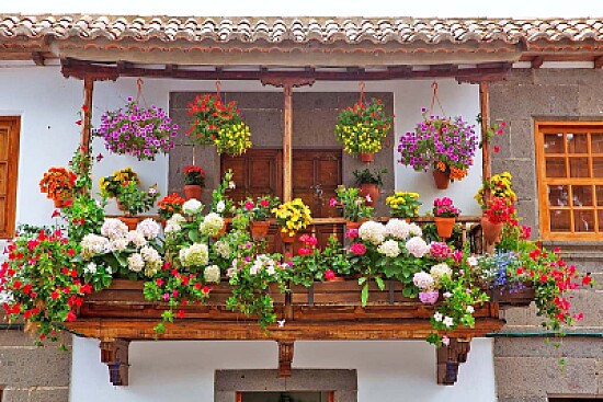 casa 2
