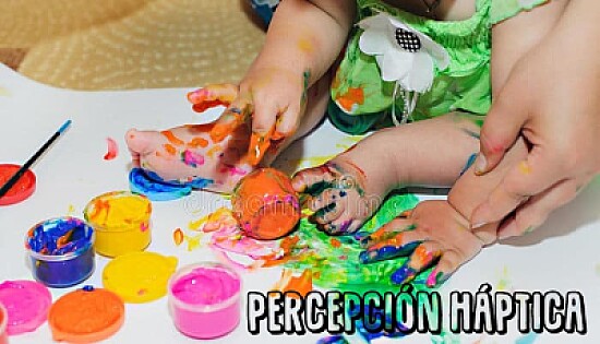 percepción háptica