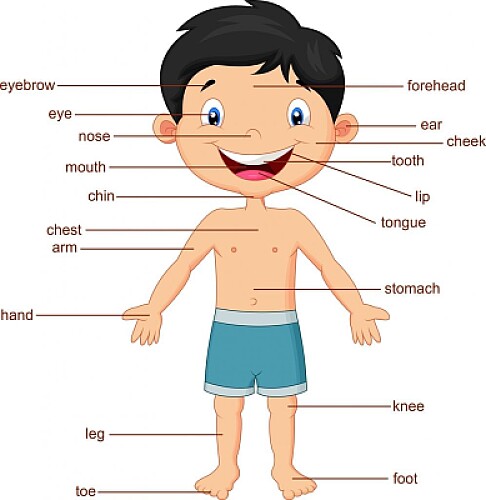 tarea de ingles