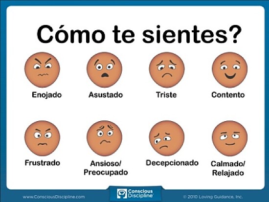 Arma el rompecabezas