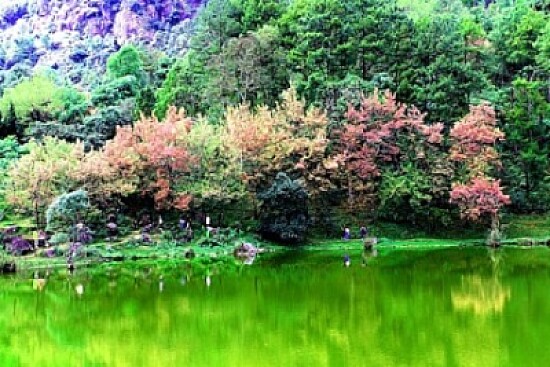 Nature