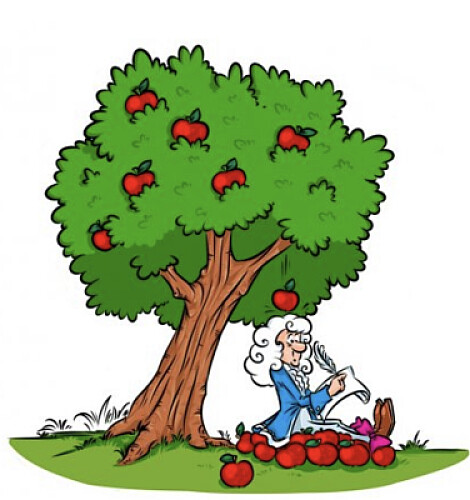 Newton puzzles