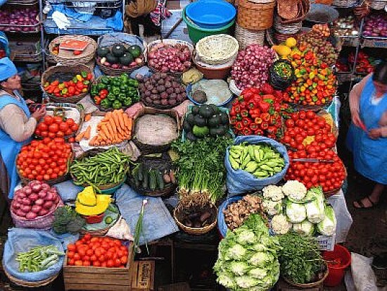 Foto
