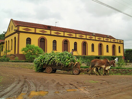 carro de boi