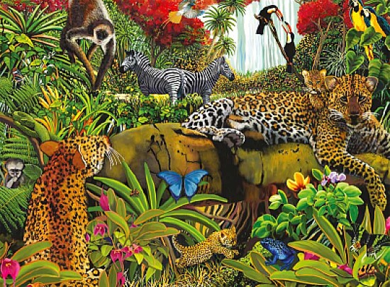 Animaux de jungle