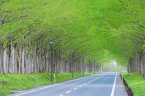 風景
