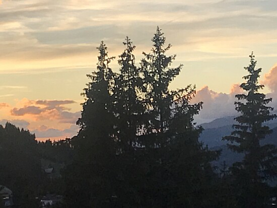 Nature