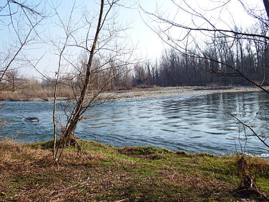 ansa del fiume