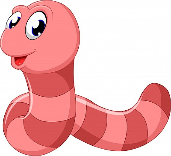 ANELIDOS
