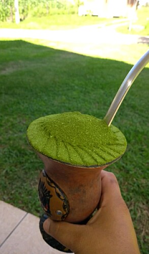 chimarrão