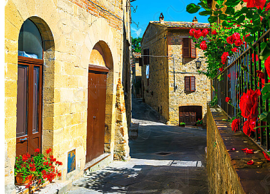 249.- CALLEJON FLORIDO