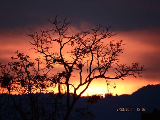 NATURALEZA