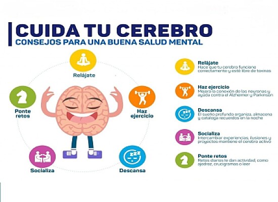 cuida cerebro