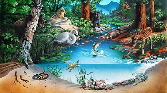 Ecosistemas