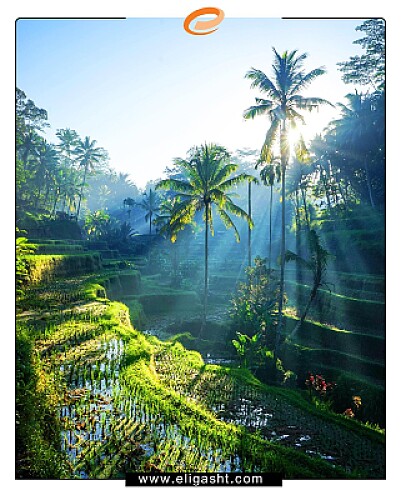 paysage